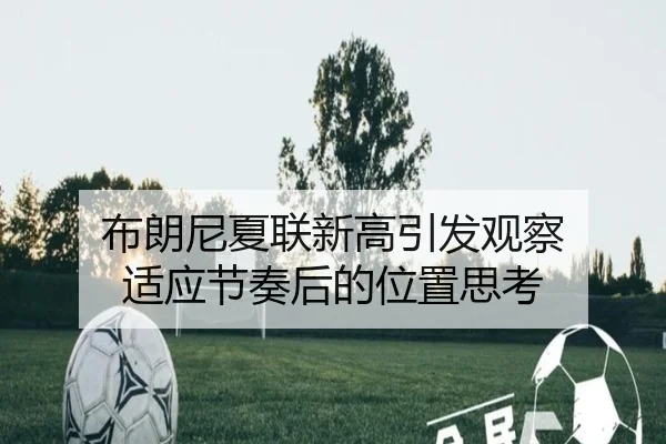bu-lang-ni-xia-lian-xin-gao-yin-fa-guan-cha-shi-ying-jie-zou-hou-de-wei-zhi-si-kao-2-433.jpg